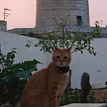 Hébergement de vacances Warda In Rabat