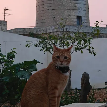 Casa vacanze Warda - Rabat