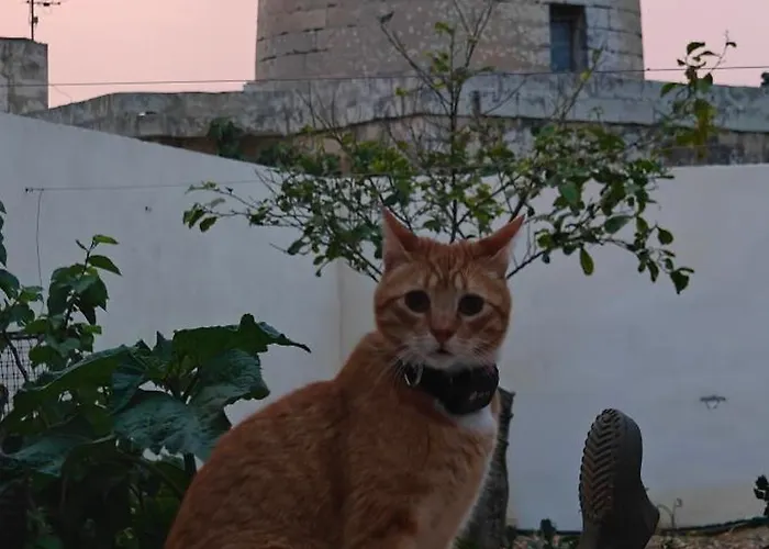 Casa vacanze Warda - Rabat